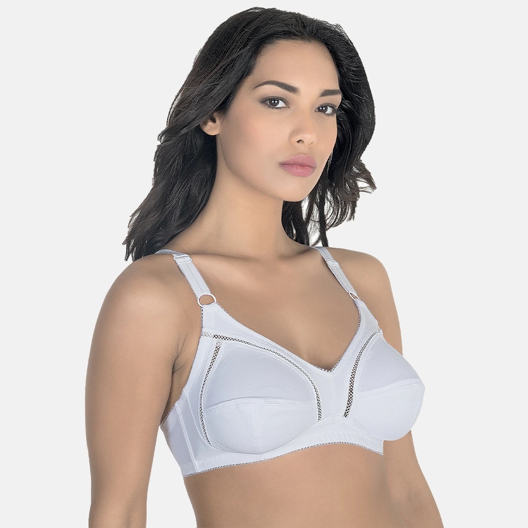 REGGISENO 1825