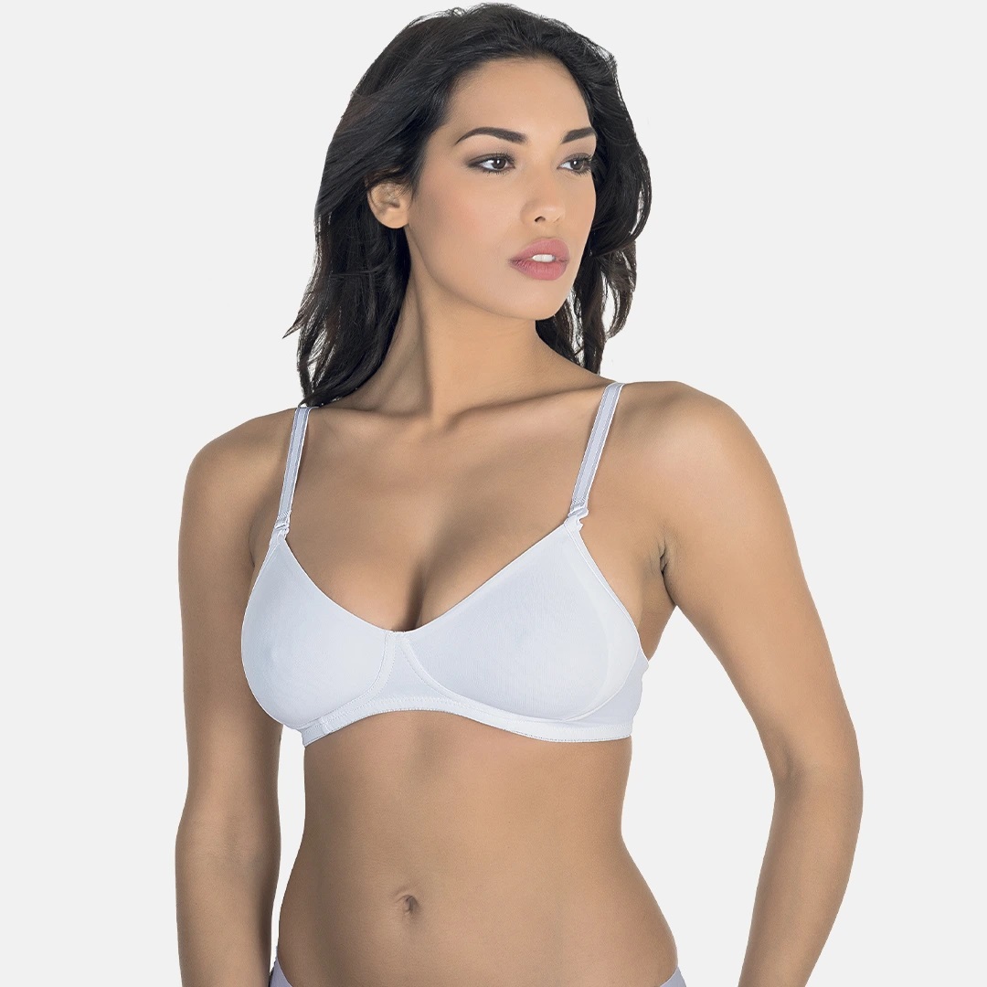 REGGISENO ERICA