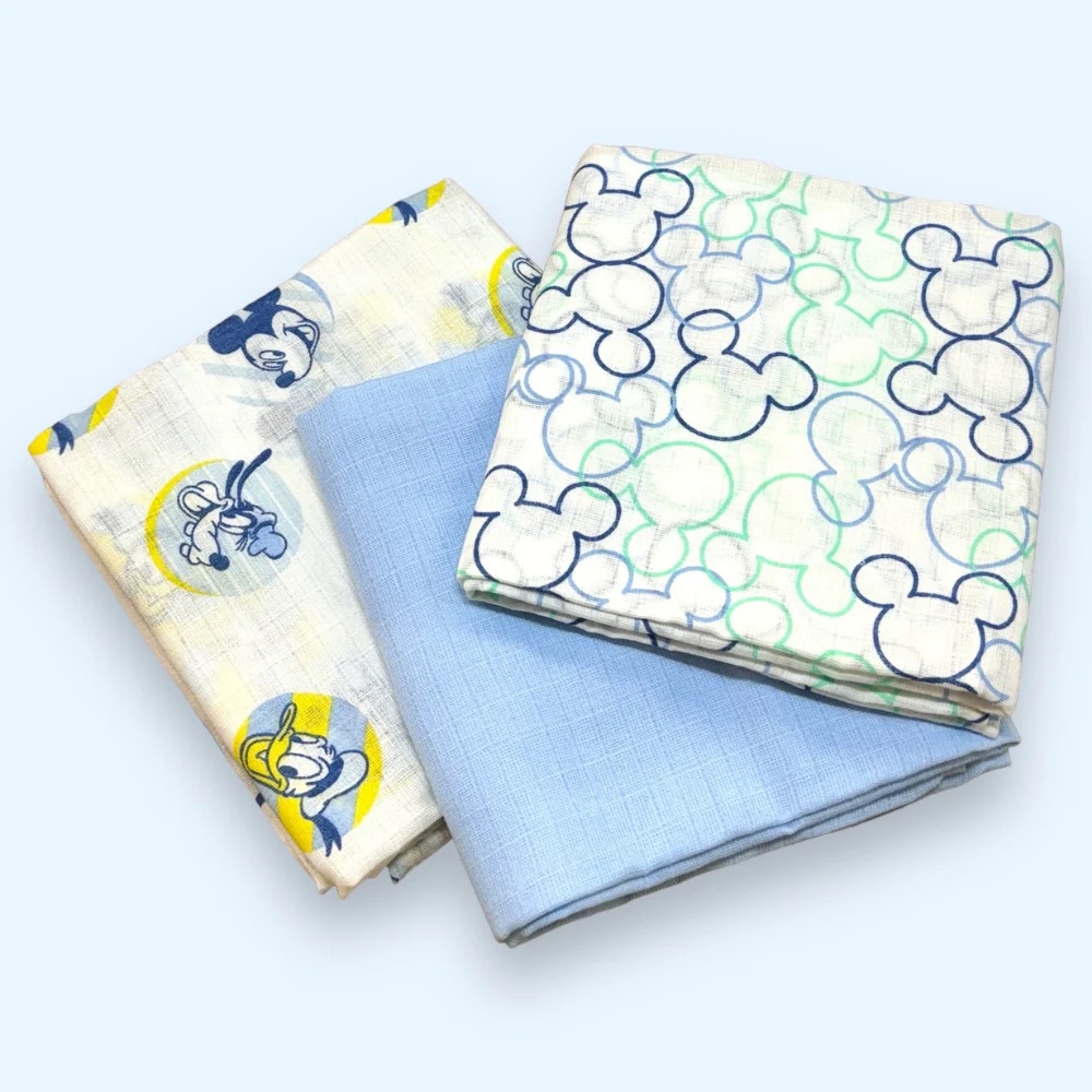 GARZA DISNEY TOPOLINO