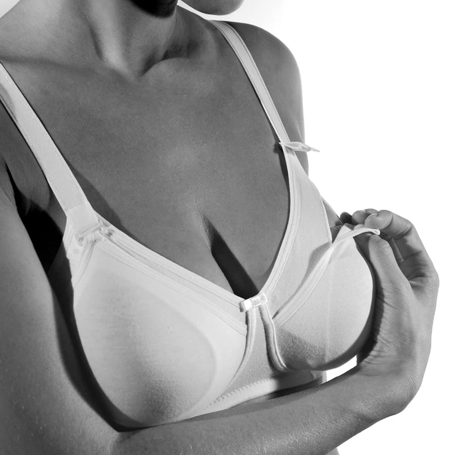 REGGISENO 291