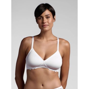 REGGISENO 260 COPPA D