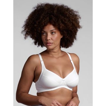 REGGISENO 650