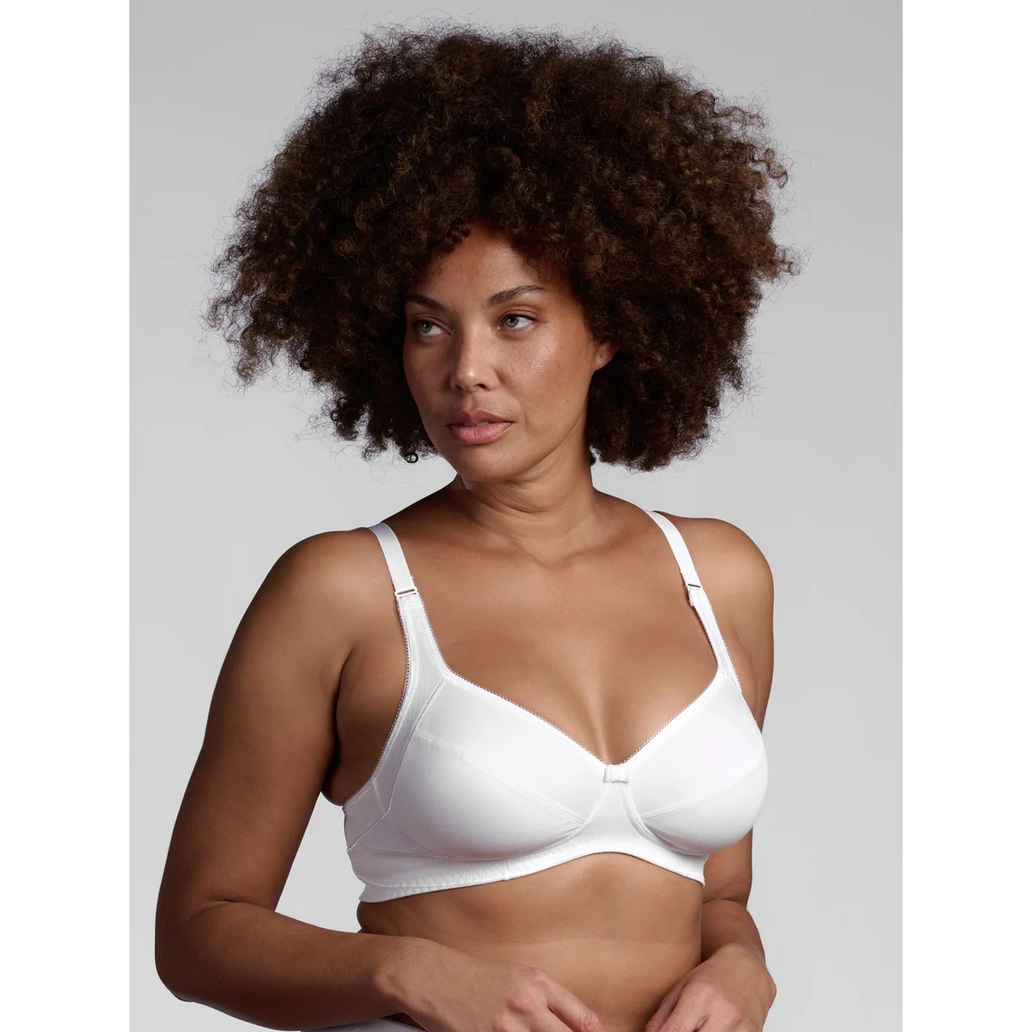 REGGISENO 650