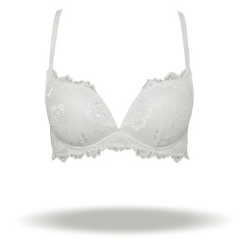 REGGISENO DESIDERIO PIZZO