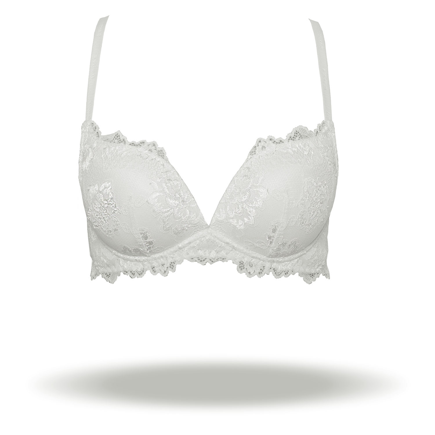 REGGISENO DESIDERIO PIZZO