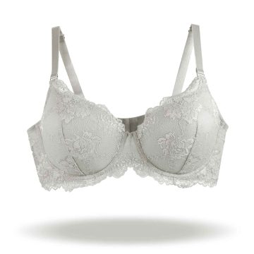 REGGISENO FAVOLOSO