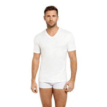 MAGLIA TV18