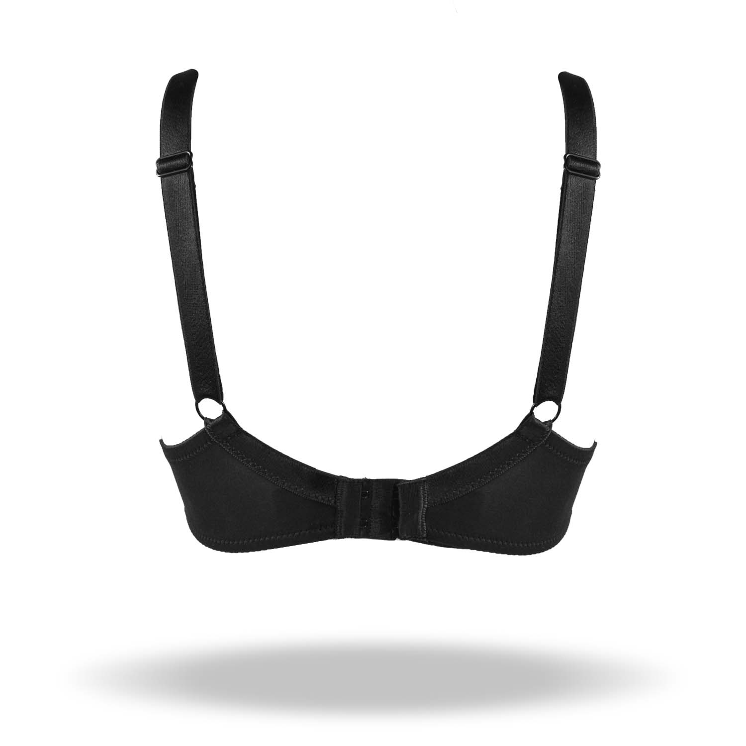 REGGISENO ALICIA