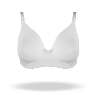 REGGISENO AMANDA