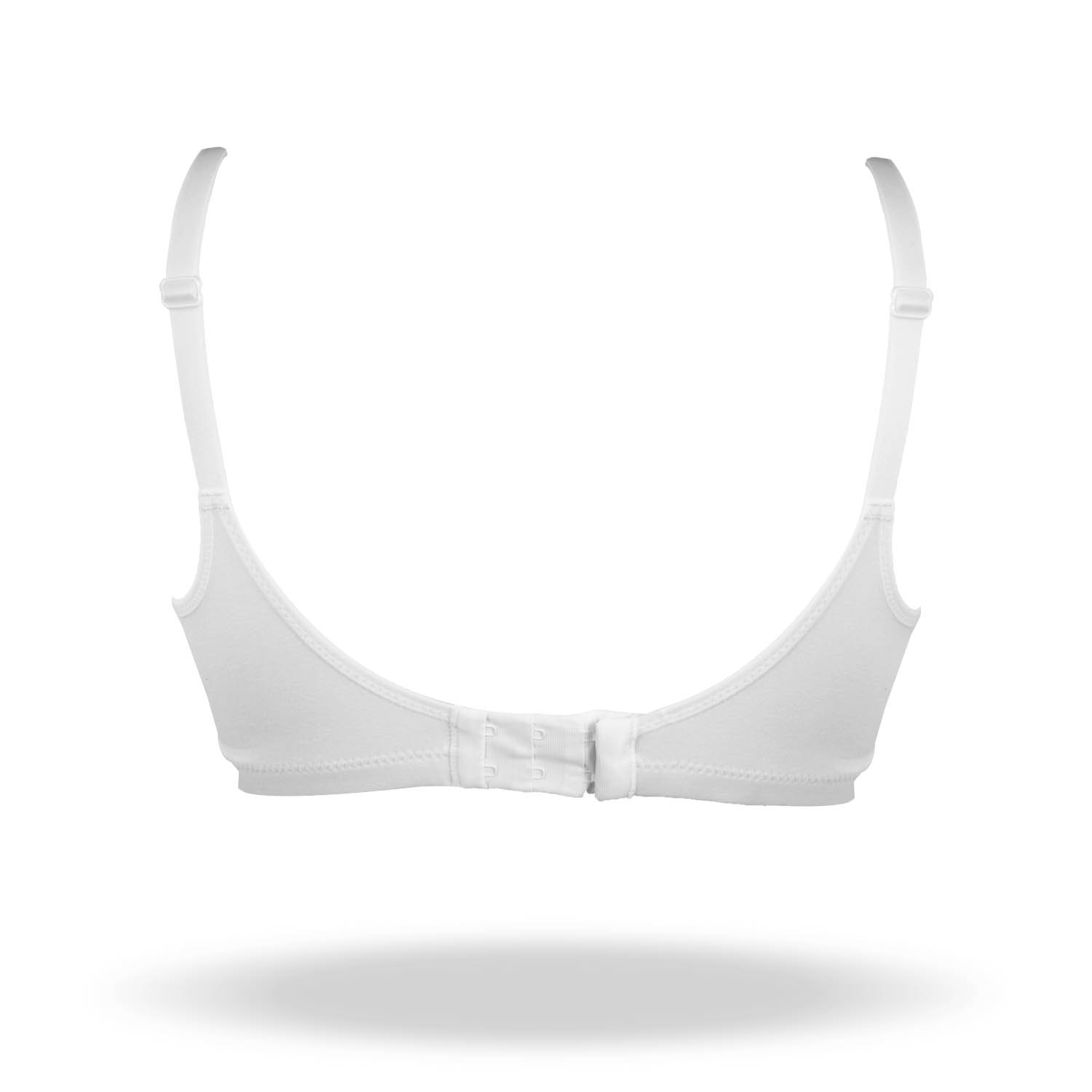 REGGISENO AMANDA