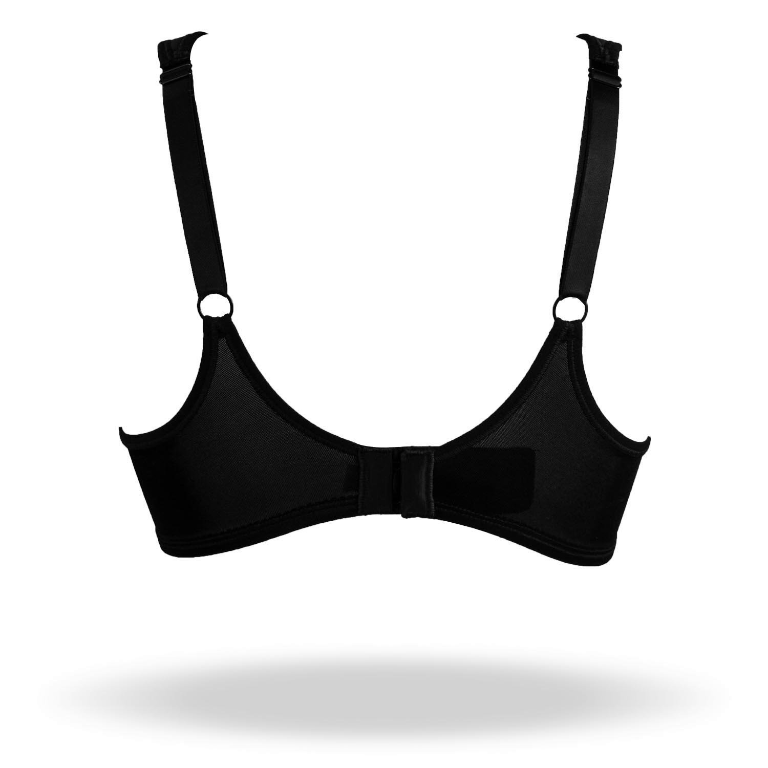 REGGISENO ELVIRA