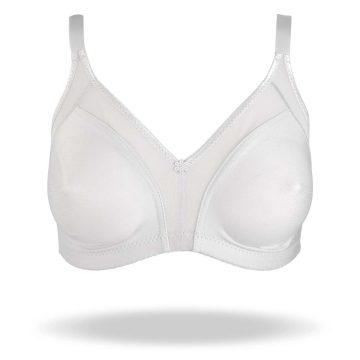 REGGISENO ESTELA