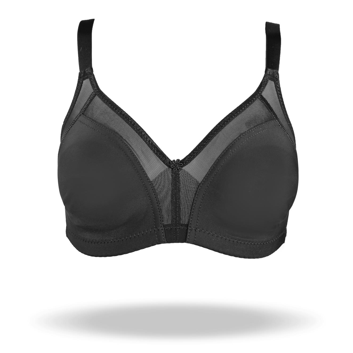 REGGISENO ESTELA