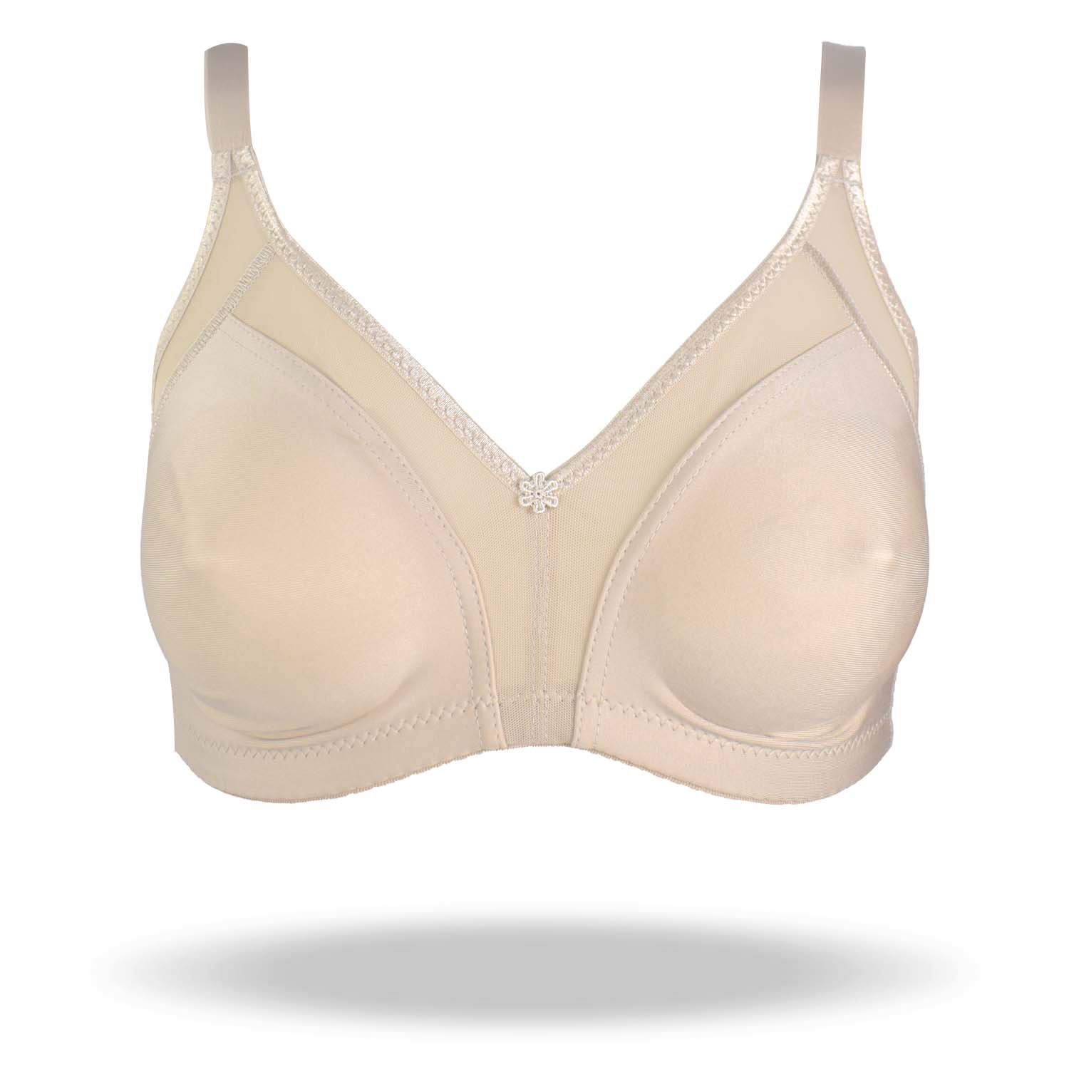 REGGISENO ESTELA