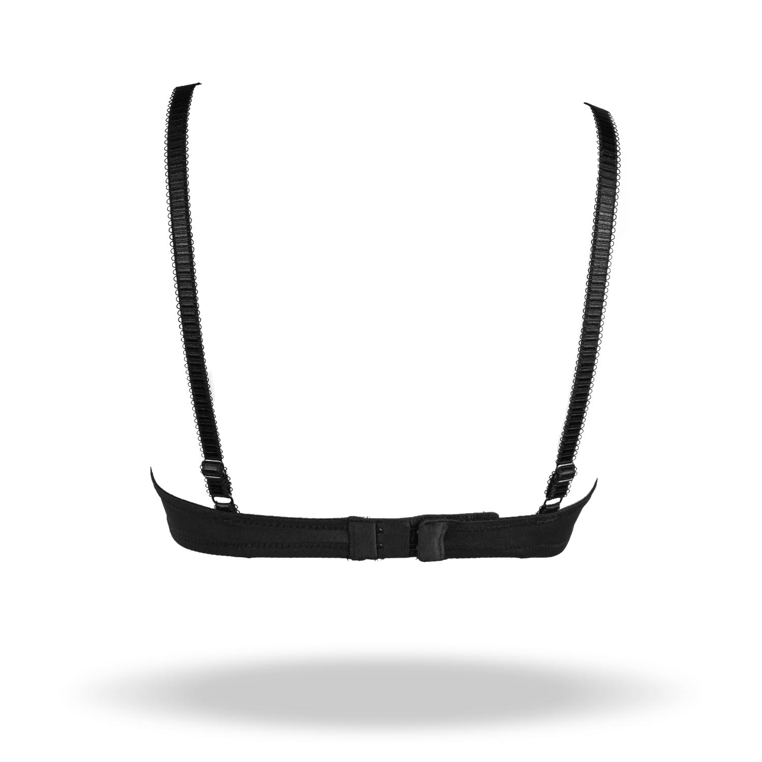 REGGISENO GRAZIA