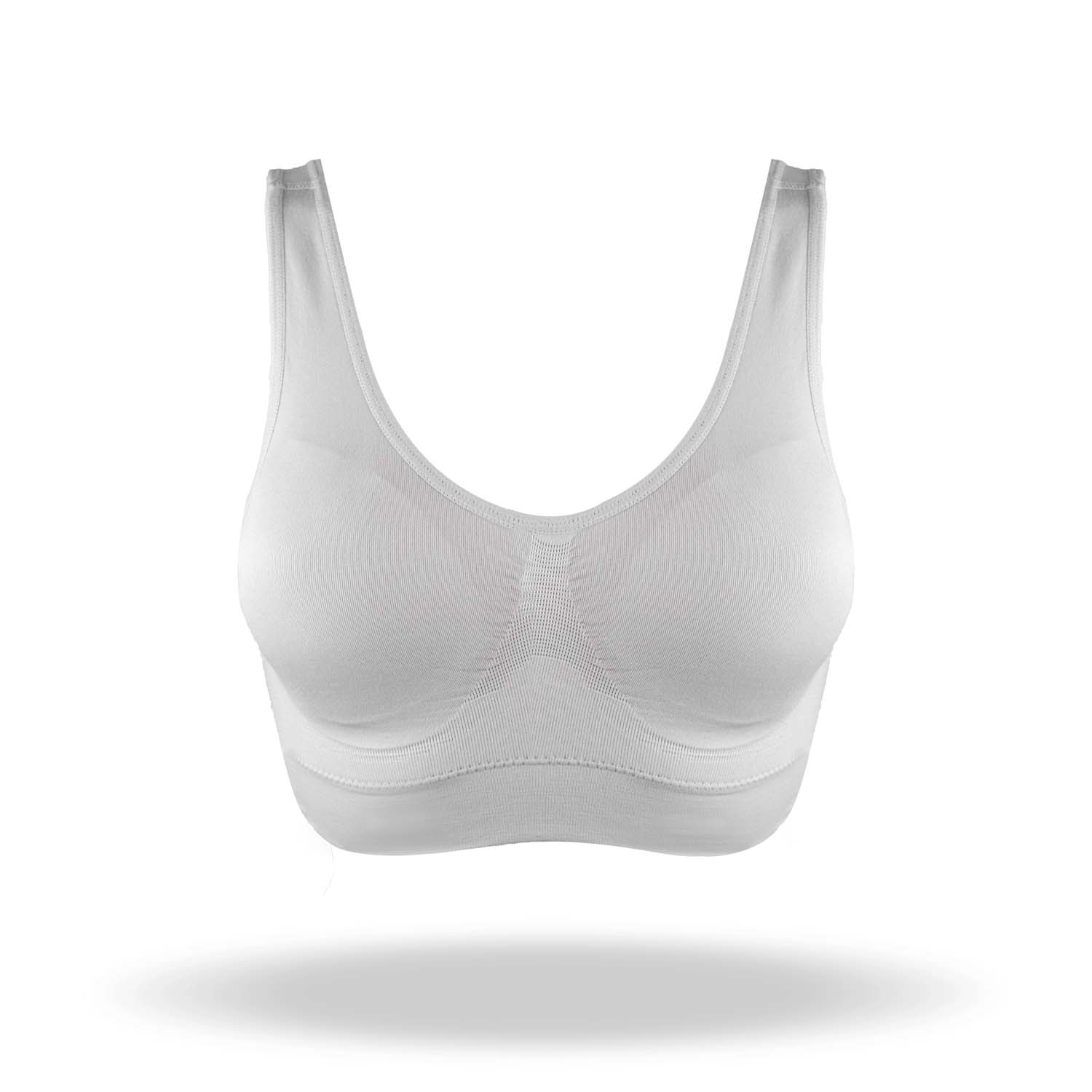 REGGISENO LOUISE