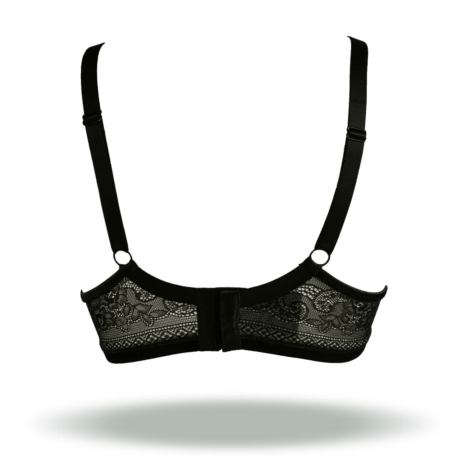 REGGISENO OLGA