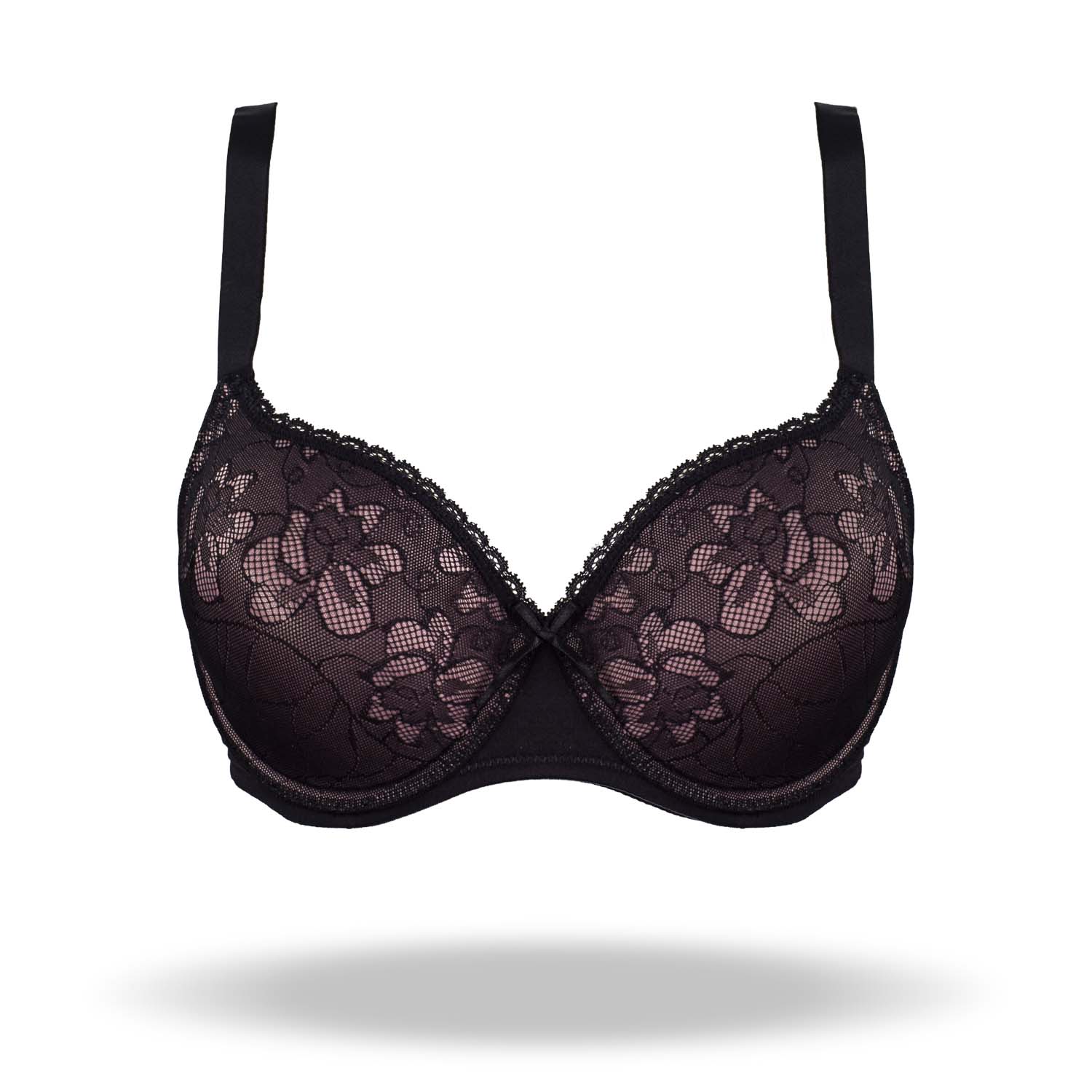 REGGISENO VENUS