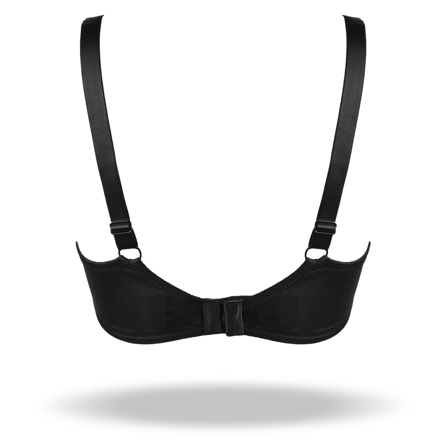 REGGISENO VENUS