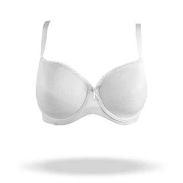 REGGISENO VIOLETA