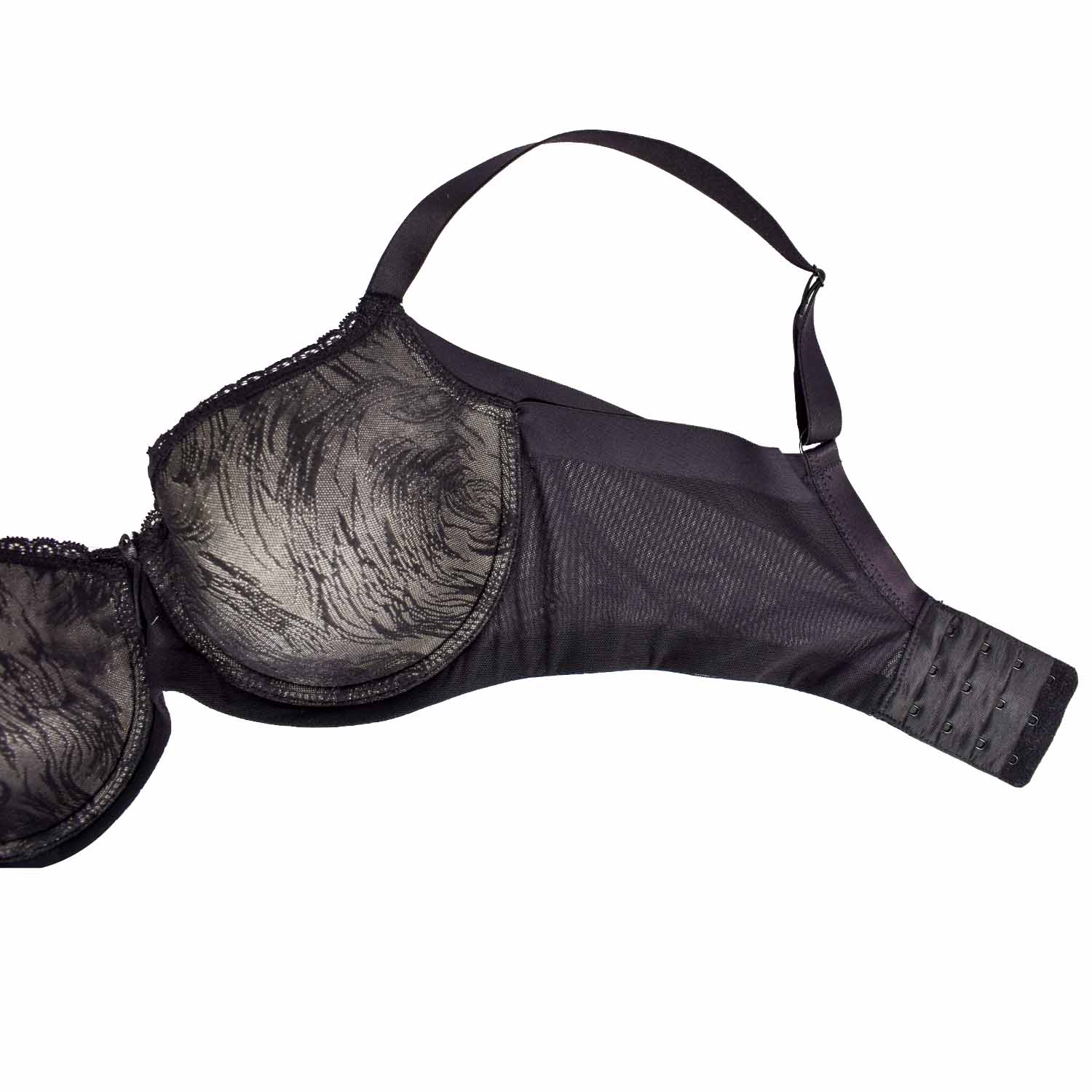 REGGISENO VIOLETA