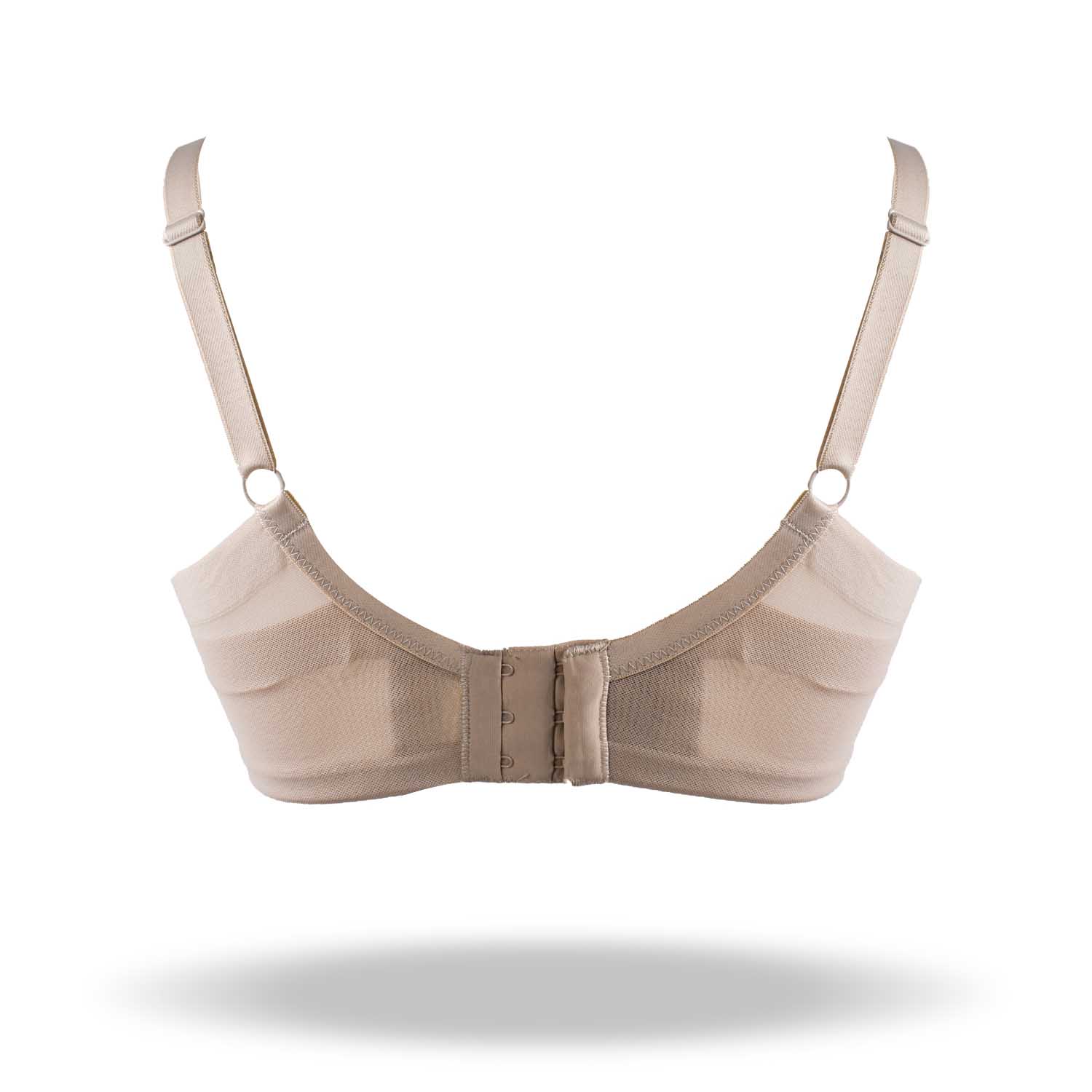 REGGISENO VIOLETA