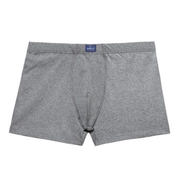 BOXER 100